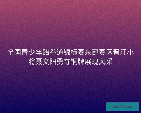 全国青少年跆拳道锦标赛东部赛区晋江小将聂文阳勇夺铜牌展现风采